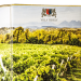ЧЕРВЕНО ВИНО BAG IN BOX - MERLOT V.TO IGP CONV. 