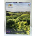 ЧЕРВЕНО ВИНО BAG IN BOX - ROSSO NOSTRANO CONV.VILLA TERESA 3 Л