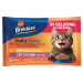 ХРАНА ЗА КОТКИ С ПИЛЕ BREKKIES DAILY 4Х85 Г