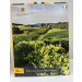 БЯЛО ВИНО BAG IN BOX - PIOPPO GRIGIO VINO BIANCO CONV.VILLA TERESA 3 Л